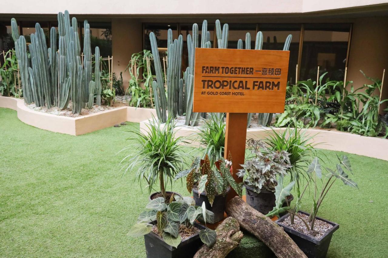 Hong Kong Gold Coast Hotel Екстер'єр фото Farm Together